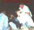 tortuesmoyapedro96.jpg (11359 octets)